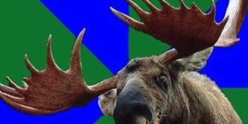 Imagem do grupo de WhatsApp Lindinhosdimamae