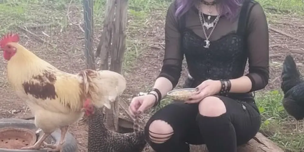 Imagem do grupo de WhatsApp Link Hub