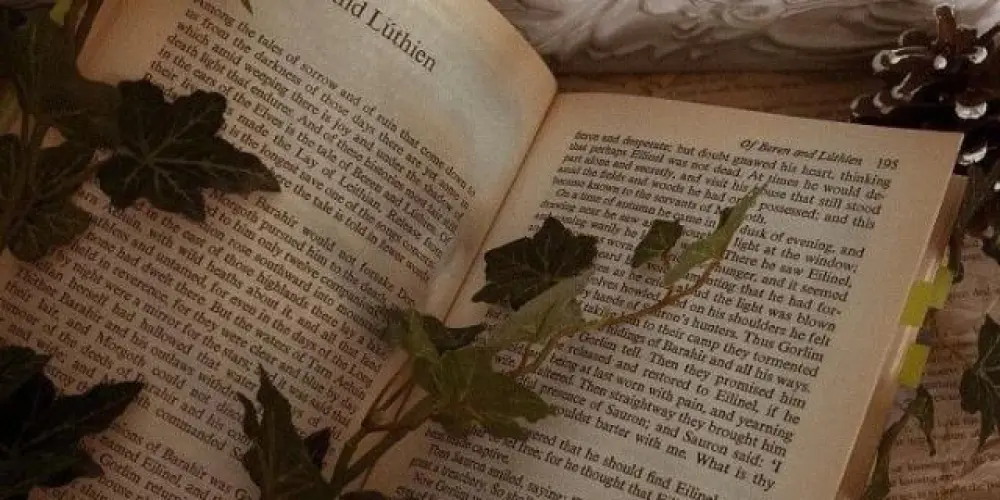 Imagem do grupo de WhatsApp Livros 📚