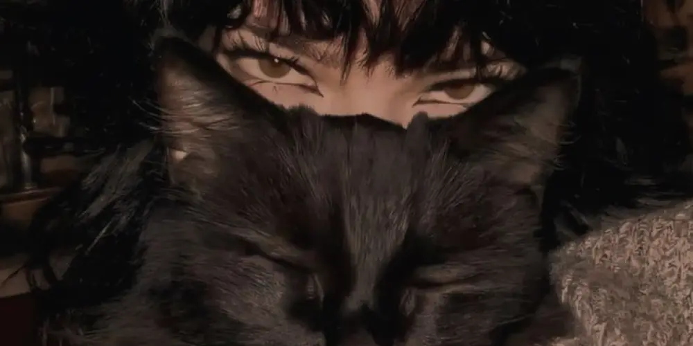 Imagem do grupo de WhatsApp ƬΛᄂKZӨПΣ