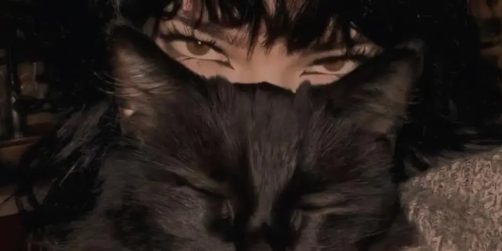 Imagem do grupo de WhatsApp ⚕︎ƬΛᄂKZӨПΣ™ ♘☘︎