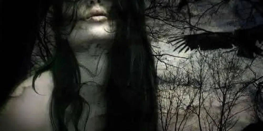 Imagem do grupo de WhatsApp 𝒩𝑜𝒾𝓉𝑒 𝒟𝑒𝓃𝓈𝒶 ll