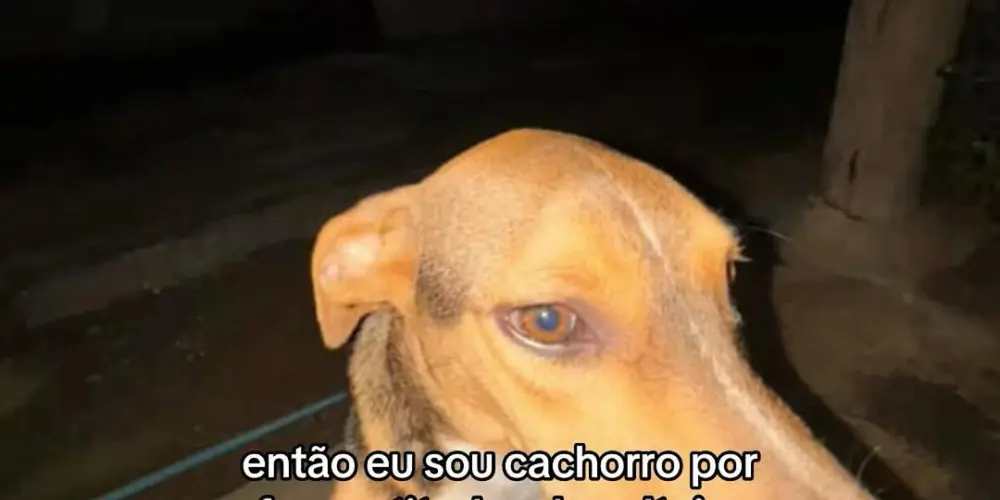 Imagem do grupo de WhatsApp Loading