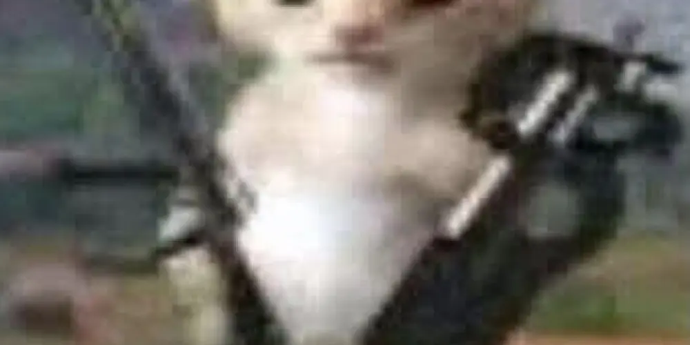 Imagem do grupo de WhatsApp 「🔥Lobby dos Brabos🔥」 — FF & Amizades