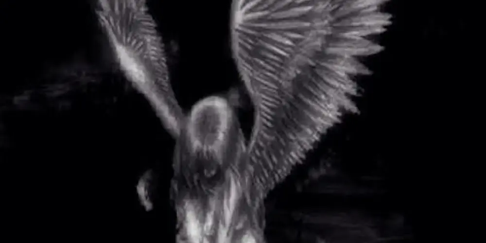 Imagem do grupo de WhatsApp lobos solitários.