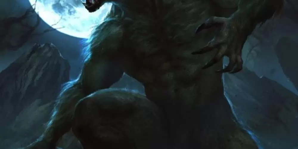 Imagem do grupo de WhatsApp Lobsomem