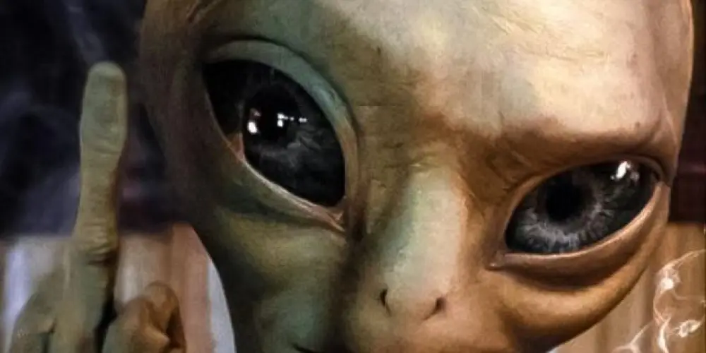 Imagem do grupo de WhatsApp Lokos🤪