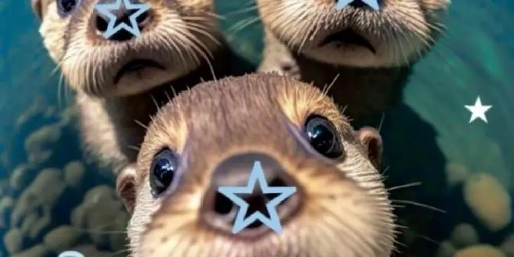 Imagem do grupo de WhatsApp LONTRIX