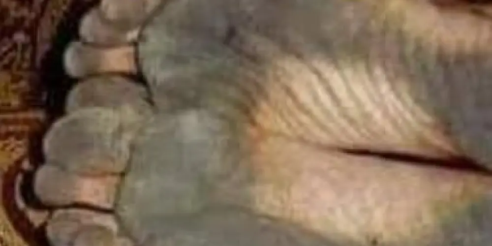 Imagem do grupo de WhatsApp 🎩 LOS ANGELES 🎩