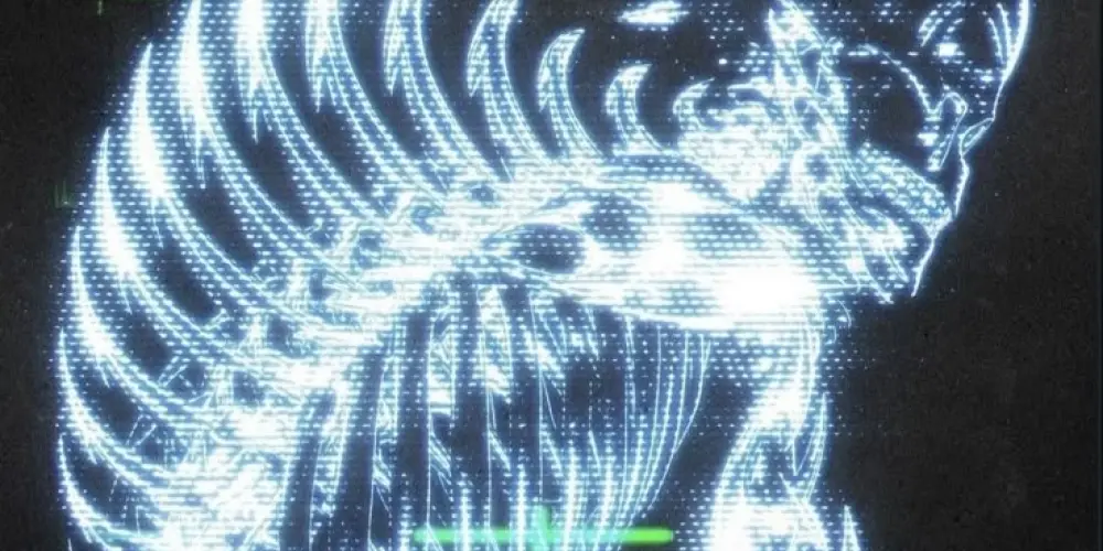 Imagem do grupo de WhatsApp Los Angeles