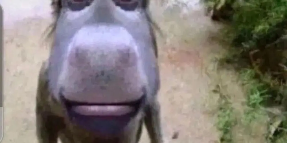 Imagem do grupo de WhatsApp Los desempleados