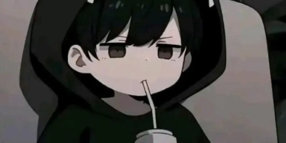 Imagem do grupo de WhatsApp Los infinito🔄