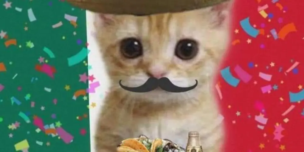Imagem do grupo de WhatsApp Los Mexicanos