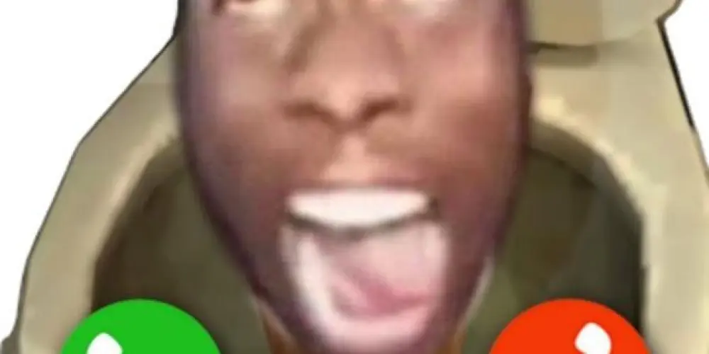 Imagem do grupo de WhatsApp Los pinguins de la Madagascar💯🔥