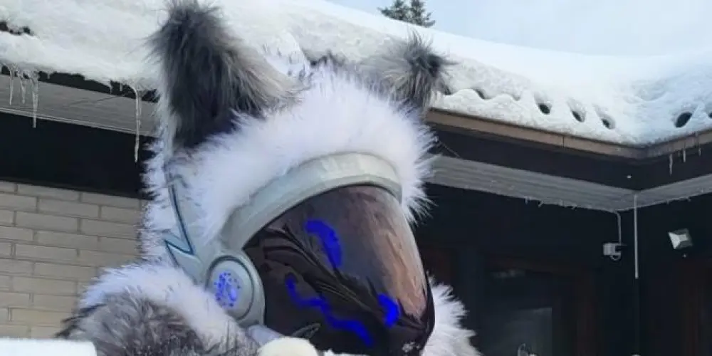 Imagem do grupo de WhatsApp Lost furry (Entrada )