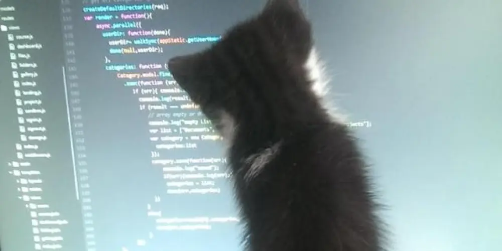 Imagem do grupo de WhatsApp ?¿ LØST S!GN4L ᵍʳᵘᵖᵒ 𖤍