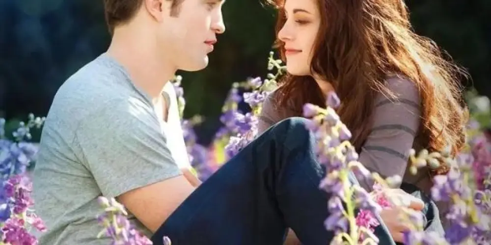 Imagem do grupo de WhatsApp Loucas Por Crepúsculo