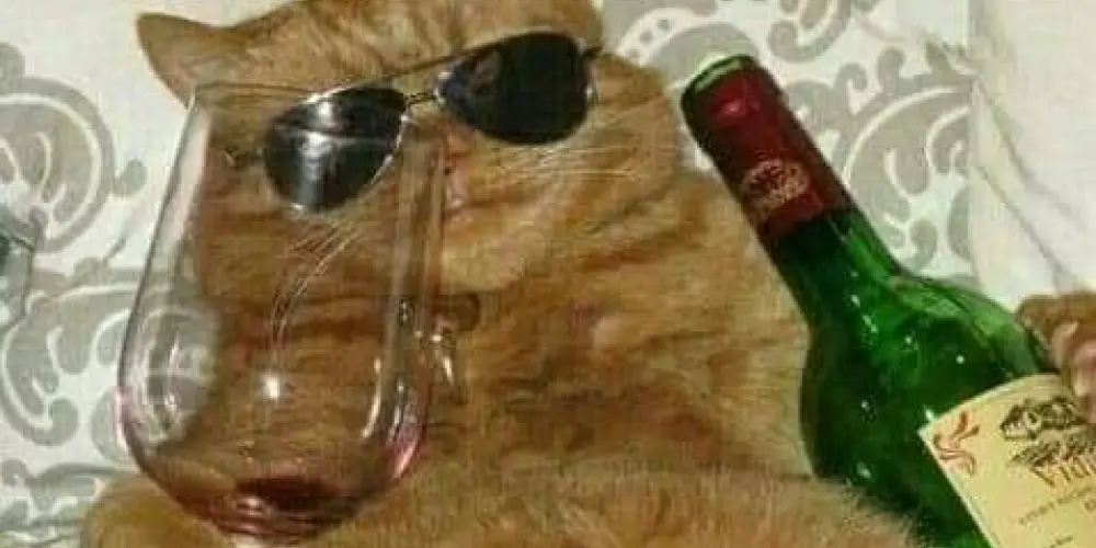 Imagem do grupo de WhatsApp Loucos 🤪