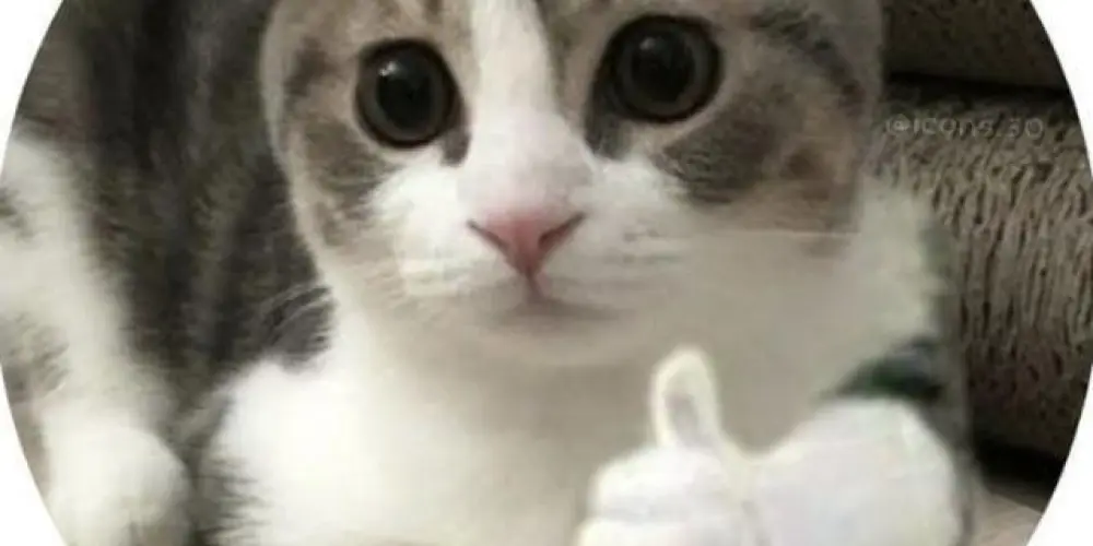 Imagem do grupo de WhatsApp Loucos e Emocionados