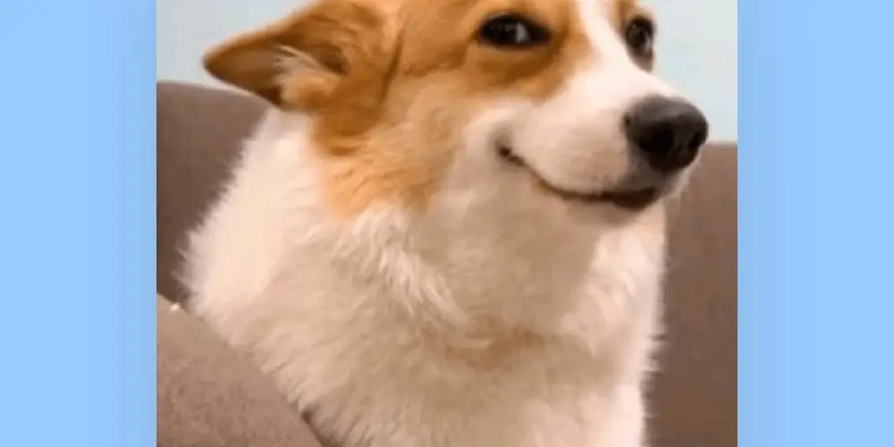 Imagem do grupo de WhatsApp Louco,sou eu,ou vc😂🤡