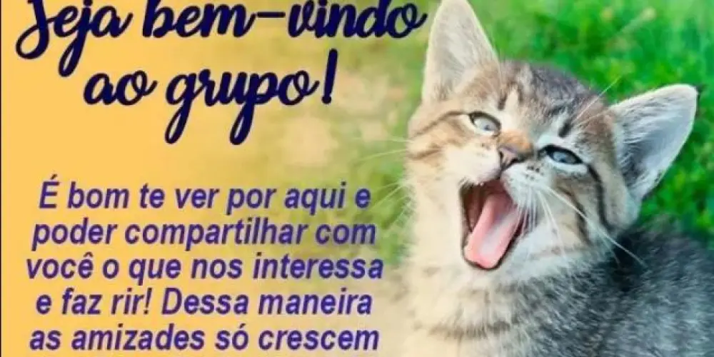 Imagem do grupo de WhatsApp 🥴 Loucuras&Sonhos 💭