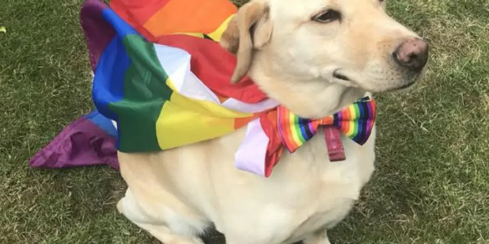 Imagem do grupo de WhatsApp +Love 👑