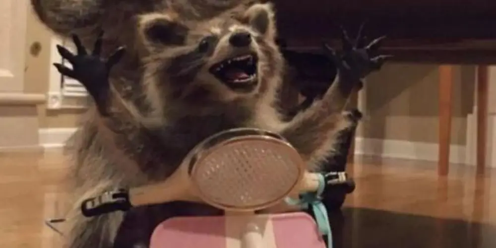 Imagem do grupo de WhatsApp Love ou amizade 💞