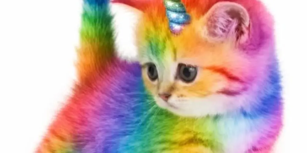 Imagem do grupo de WhatsApp ݁₊ ⏜᷼𓏼  𝗮͟lphas  𖦹  lgbts .ᐟ 🏳️‍🌈︵᷼