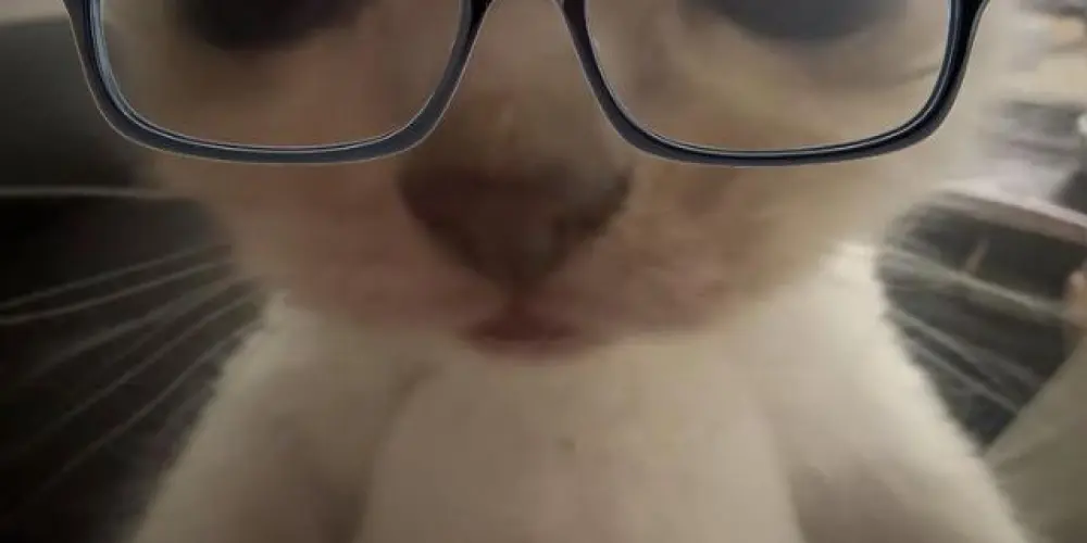 Imagem do grupo de WhatsApp ┭໋ׅ┅̟፝֟͠┄᷼ᮬໍׂ╼ ׂ  ̟໒𐇽ᩙ࡙𝕸ṳl̲t̳.G⃟🄰𝗠E̲R̳ ✿፝֟𑁬 ׅ ׂ