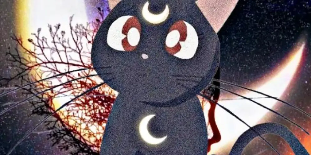 Imagem do grupo de WhatsApp LUA STICKERS