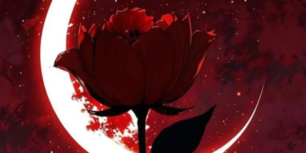 Imagem do grupo de WhatsApp Lua vermelha 🌙