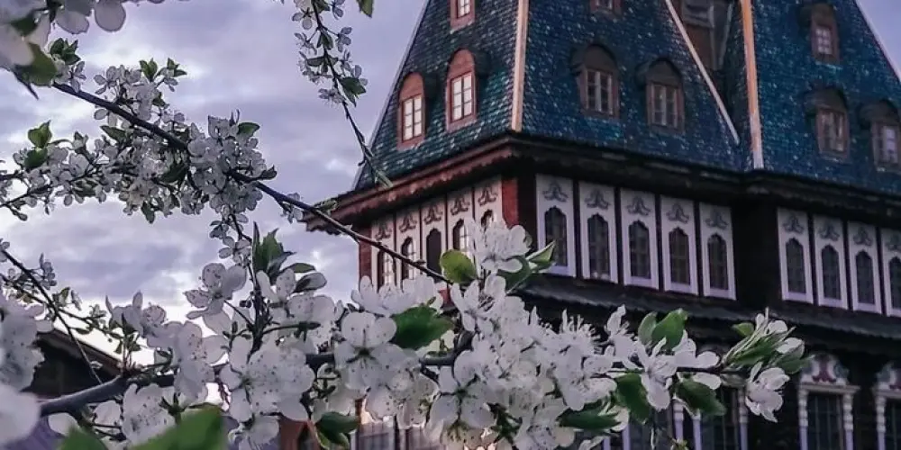 Imagem do grupo de WhatsApp Lugar para se socializar