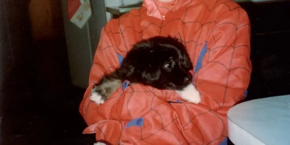 Imagem do grupo de WhatsApp Lumen Digital