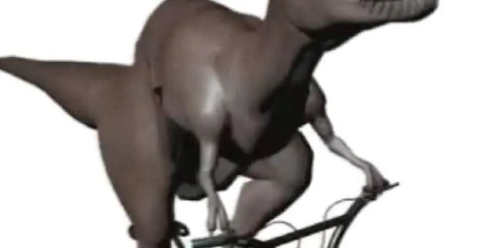 Imagem do grupo de WhatsApp Lunáticos