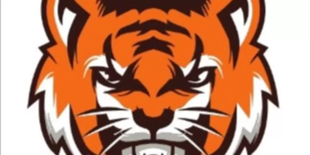 Imagem do grupo de WhatsApp LV SLOTS 🔥🎰