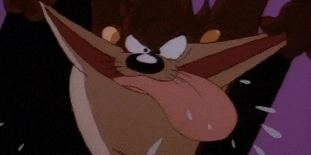 Imagem do grupo de WhatsApp Lz (Grupo Principal!)