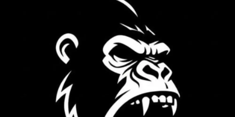 Imagem do grupo de WhatsApp 🐒 MᎾᏁᏦᎬᎽᏞᎪᏁᎠᎥᎪ🐒