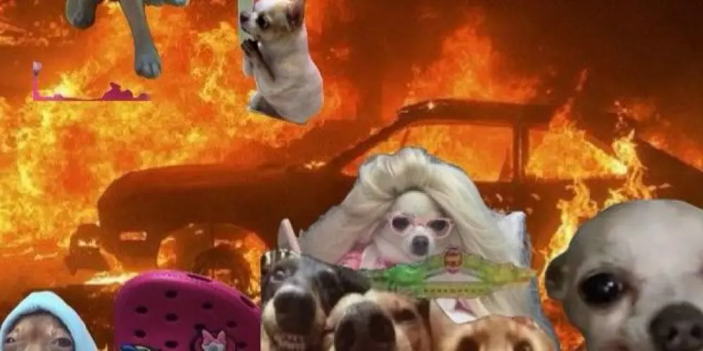 Imagem do grupo de WhatsApp 𝒜𝗆𝖺𝗇𝗍𝖾𝗌 𝖽𝖺 ℳ𝖺𝖽𝗋𝗎𝗀𝖺𝖽𝖺💯