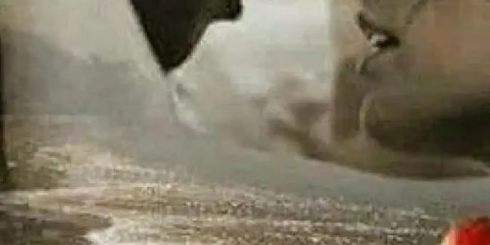 Imagem do grupo de WhatsApp ͟͟͞͞➳❥ᎯℳℐℤᎯⅅℰ & ℛᎾℳᎯℕℂℰ ༒〄❤️🙏💟❤️