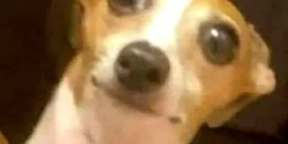 Imagem do grupo de WhatsApp Mᴀ̃ᴇ, ᴛᴏ̂ ɴᴏ WʜᴀᴛsAᴘᴘ