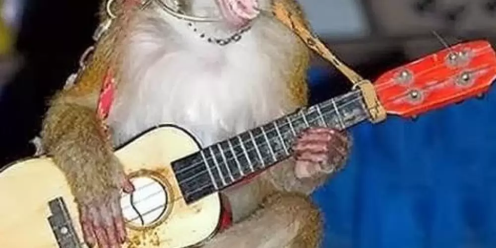 Imagem do grupo de WhatsApp M4CAQUITOS 🎣🦧