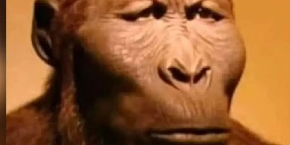 Imagem do grupo de WhatsApp Macacada⚠️⚠️