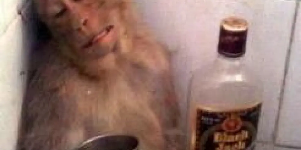 Imagem do grupo de WhatsApp macacos 🐒