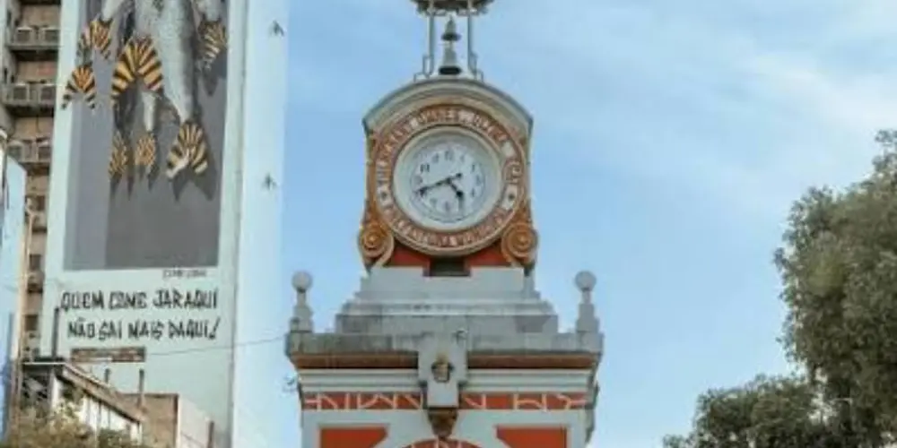 Imagem do grupo de WhatsApp Macacos de Manaus