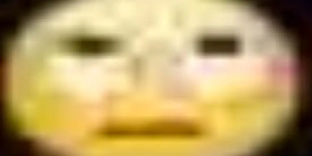 Imagem do grupo de WhatsApp macacos e macacas