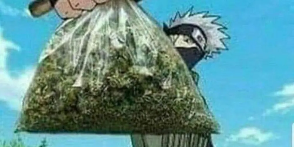 Imagem do grupo de WhatsApp Maconheiros Humildes