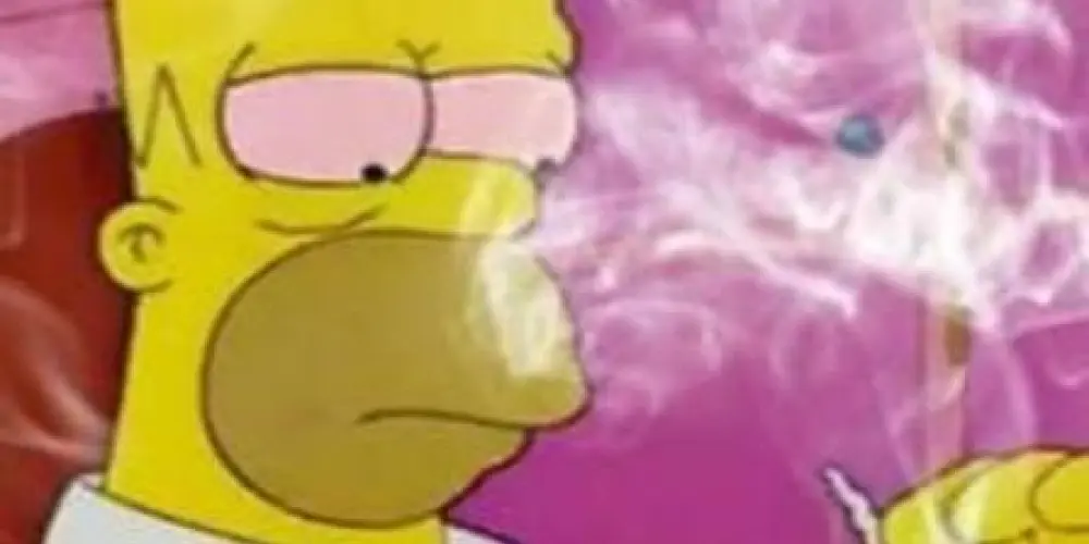 Imagem do grupo de WhatsApp Maconheiros Udia 🍁🫩