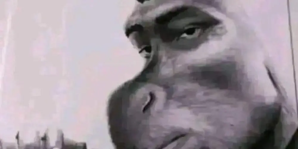 Imagem do grupo de WhatsApp Made In CAPS