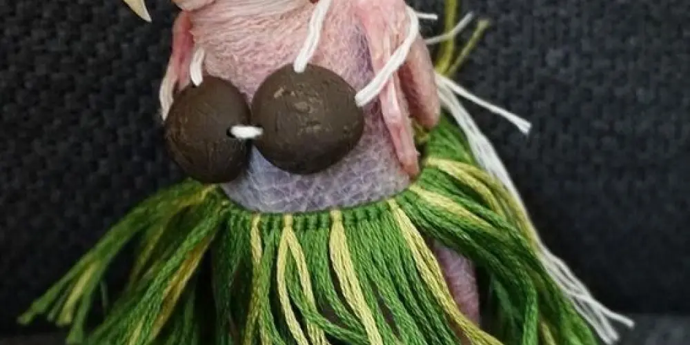 Imagem do grupo de WhatsApp Madrugada da relíquia e bagunça!!!