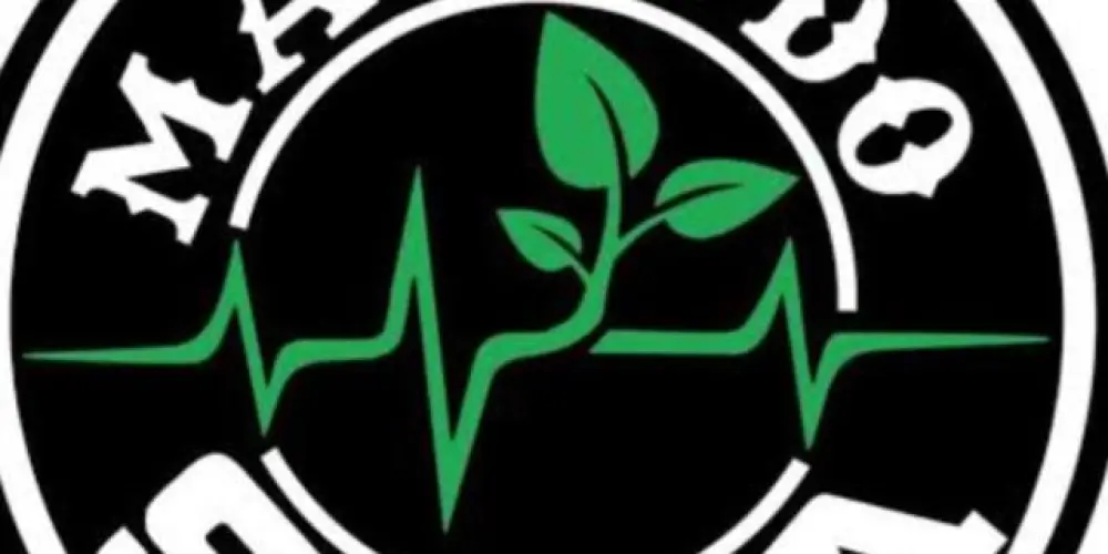 Imagem do grupo de WhatsApp MÁFIA DA SOJA 🇧🇷🌱🚜